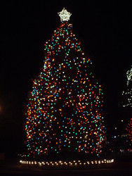Walnut Creek Annual Christmas Tree Lighting - November 7, 2025