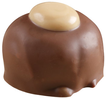 Chocolate Buckeye